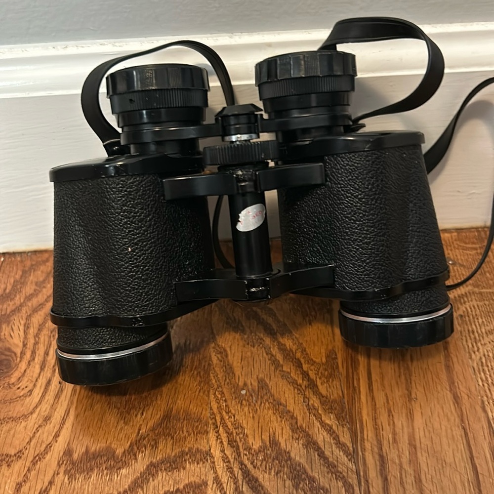 Vintage Skyline binoculars